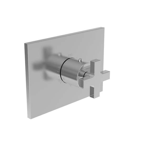 Newport Brass 3/4" Rectangular Thermostatic Trim Plate With Handle in SS 3-2064TS-20 - main